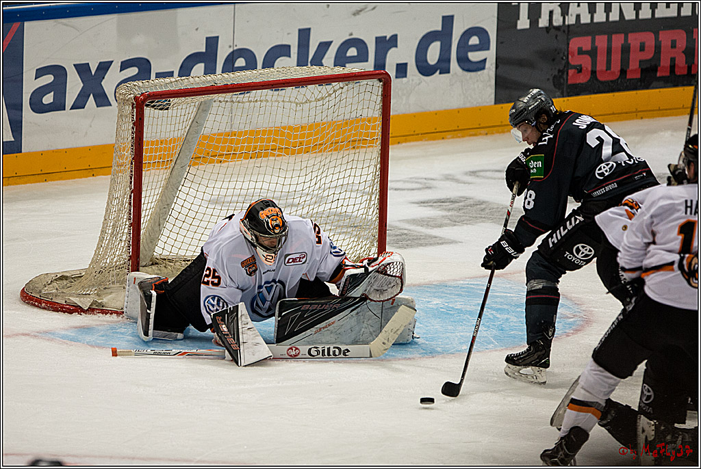 Koelner Haie - Grizzlys Wolfsburg, 16.10.2016, 16.10.2016